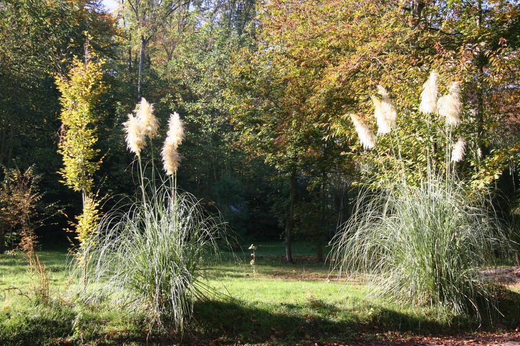 Domaine De Chantemerles Fontainebleau Exterior photo